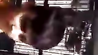 birds lover video