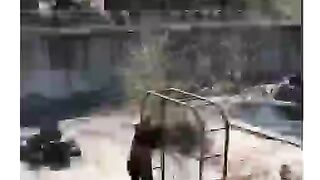 Танец медведя