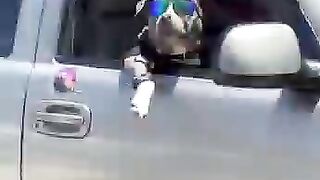 Дай пять
