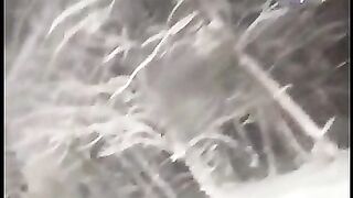 Зимняя дорога