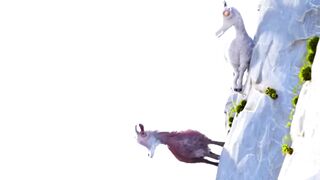 Вот так и в жизни.