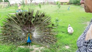На экскурсии в Закарпатье
