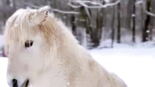 Шаловливый малыш. Всем доброй ночи.