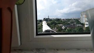 Непрошений  гість