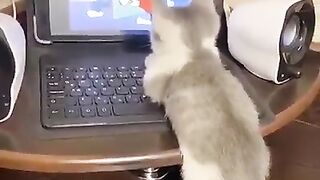 Счастливое время