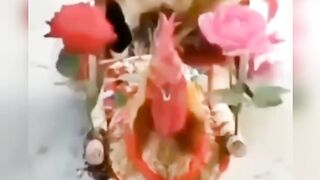 Неплохо очень иметь три жены.