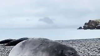 Будь здоров