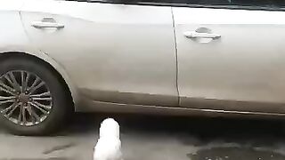 Не запрыгнишь