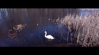 Часть 2 Саврань