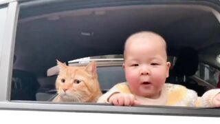 LOVE Cats 5