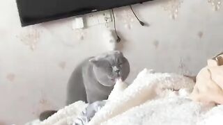 LOVE Cats 10