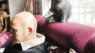 LOVE Cats 12