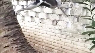 Растяжка