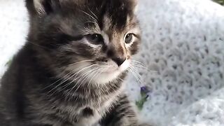 Хорошего вам дня!