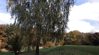 Фарби осені