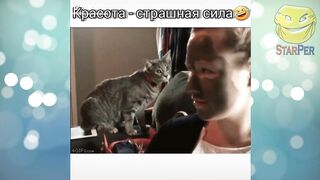 Лучшие приколы 2022 Февраль ???? Best COUB ???? Crazy Tik Tok ???? Подборка № 33
