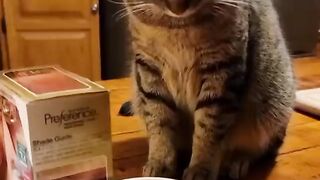 Могу я попробовать.