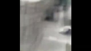 Подборка смешных роликов