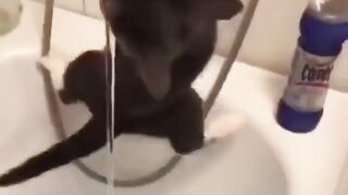 Коротко о том....