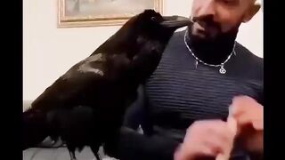 песня
