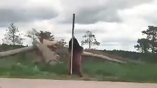 Танец у шеста