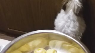 Плюшками балуемся