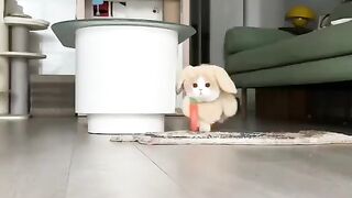Kitty Funs 8
