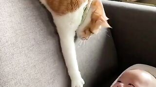 Kitty Funs 17