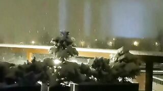 Fairy magic night