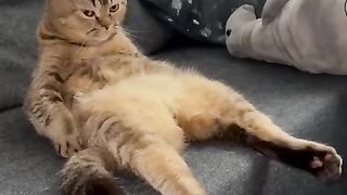 C добрым утром!