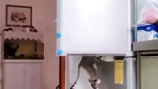 Организованная банда совершила налет на банк еды