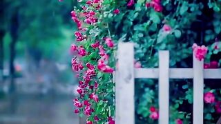 Природа 5