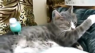 А поговорить?