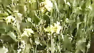 Green Pakistan Green Karachi Hara bara Karachi