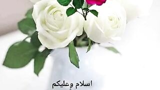 Recite 81