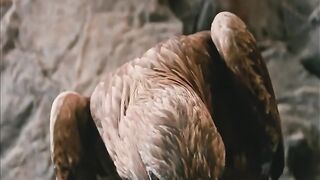 Action Horror Movie clip from Hollywood