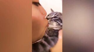 Cat Being So Done With Their Owners| Funny Animal Videos| Furry Buddy