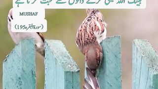 quotes||motivational videos||quranic videos||