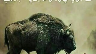 quotes||motivational videos||inspirational videos||