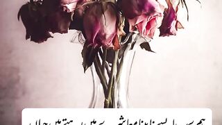 quotes||motivational videos||urdu quotes