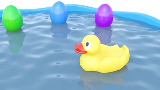 Ducks at the Swimming Pool Cartoon Animation