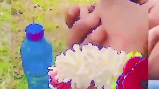 Love  song