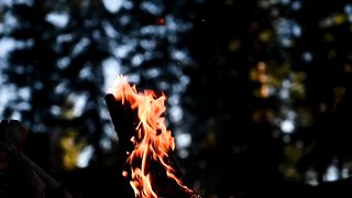 Experience the magical sounds of camping fire with birds chirping