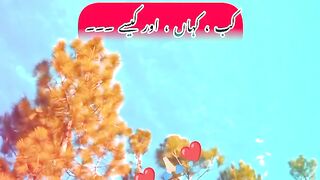 میرا رب جانتا ہے ۔۔۔۔