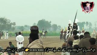 #horses#riding#vedio#horses of runing