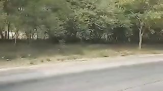 Myvid