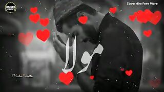 Islami. Status