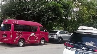 Testing video