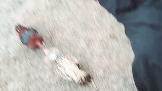 Fight