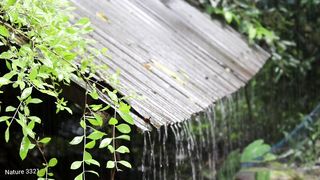 Relaxing with Nature Sounds winter Rain